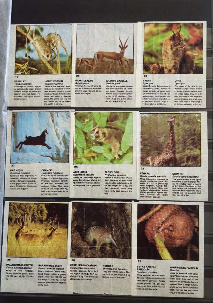 Cin Cin Anymal 19-27