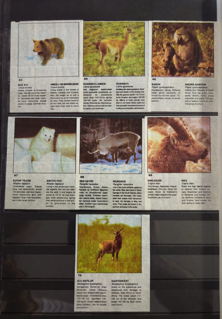 Cin Cin Anymal 64-70